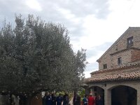 D&M Wedding 10 25 069