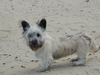 20140514 09  The pirate look on the beach