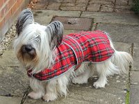 20150202 01  New winter coat in the new Reeves tartan
