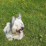 20230528 094650874 HDR