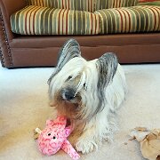 20231110 092137927  Unwrapping another present