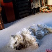 20231220 084408597 - Copy  It's so tiring being the king of the castle