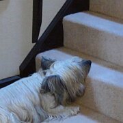 20231229 1  Will you come down and give me my grub!!