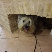 20240919 224600939  In the restaurant at Oasi