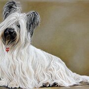 Il Bellissimo  Il bellissimo, our greatest joy  (by Sophie Fois)