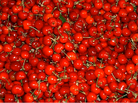 food 15