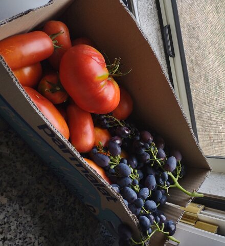 Local gifts for our quarantine