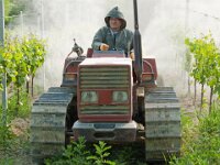 20090508 Pignotto 045