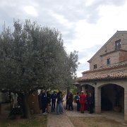 D&M Wedding 10 25 069