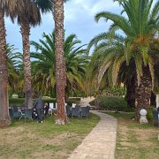 D&M Wedding 10 25 072