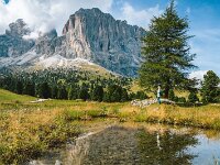 2  Sassolungo2  3181m  Passo Sella 2240m - Sassolungo