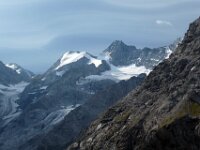 3 20260708 133  Passo Stelvio 2750m